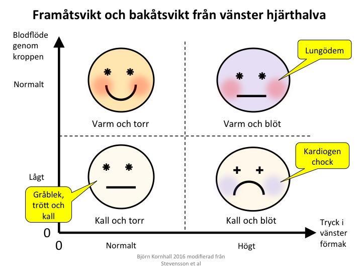 Diagnosen hjärtsvikt ställs med en ultraljudsundersökning av hjärtat (ett ekokardiogram). Innan dess rekommenderas en enkel screening med ett vanligt EKG och en analys av NT-ProBNP i plasma.