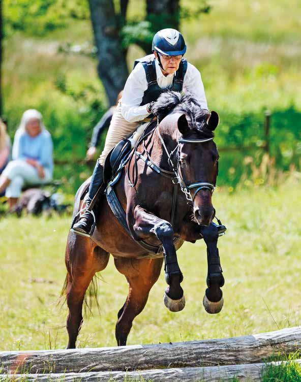 Vi älskar hästkraft! I över hundra år har Svenska Ridsportförbundet samlat hästälskare och utvecklat svensk ridsport som fritid och idrott i världsklass.