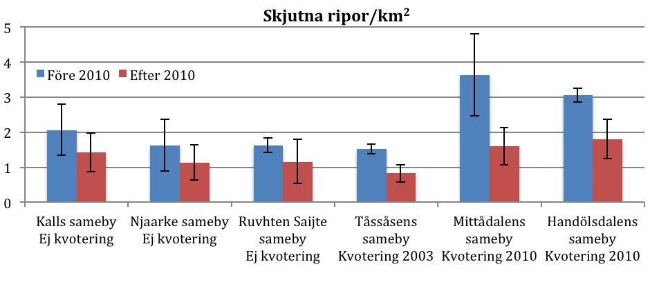 3. RESULTAT 3.1. Antal skjutna ripor Den rapporterade avskjutningen har i samtliga studerade samebyar sjunkit efter jaktåret 2010/2011 (figur 2).