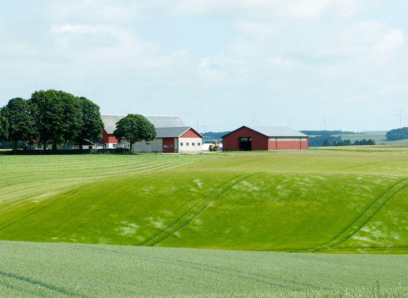 Övriga viktiga händelser Lantmännens ägardialog om strategiska framtidsfrågor har påbörjats med distriktsstyrelserna.