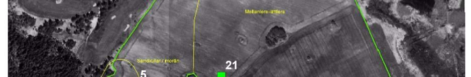 60 ha, (Figur 1 med provpunkter 2005) medan fältet som studerades 2007 var betydligt mindre, ca. 15 ha.