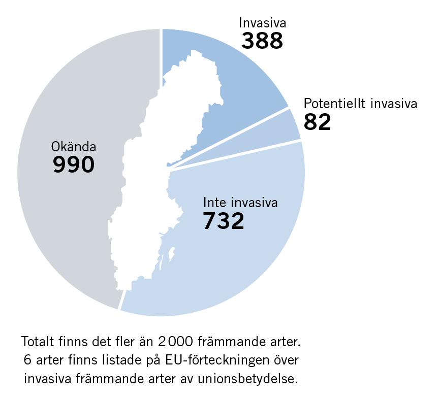 Nationellt arbete och problemarter Naturvårdsverket