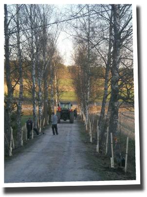 Uthyrning och förevisning av Viljan har skötts av Pia Heikkinen. Vinterunderhållet av Viljans gårdsplan och väg har skötts av Richard Borgström.