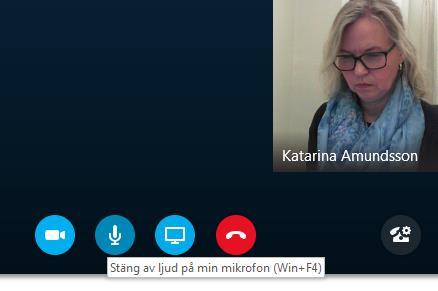 Delta i Skype-möte, mikrofon 4. Be närstående att stänga av ljudet på mikrofonen om de befinner sig i miljö med mycket ljud som stör mötet. Be dem klicka på ikonen.