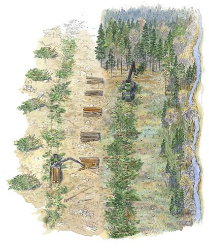 5 Målbild för hänsyn vid körning i skogsmark MÅLBILDER FÖR GOD MILJÖHÄNSYN mark & vatten Körning i skogsmark Att motverka uppkomsten av körskador är ett viktigt mål för svenskt skogsbruk.