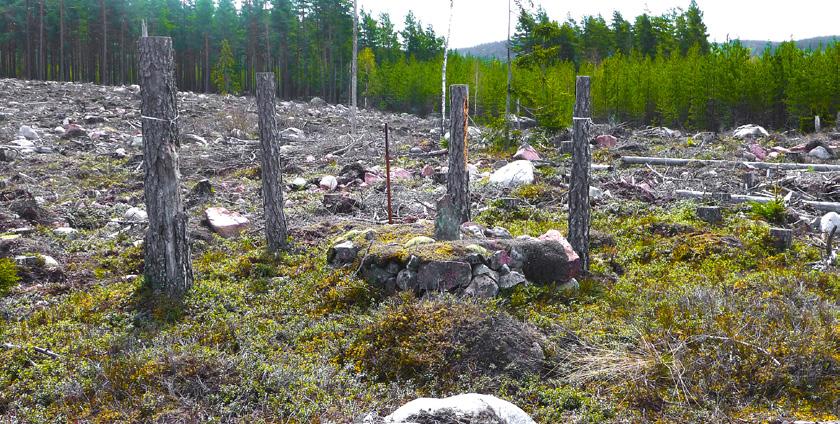 Målbild Enstaka lämning Flera lämningar Linjeobjekt Yttäckande lämningar Användning av kulturstubbar 3 eller fler kulturstubbar ställs 2-5 meter utanför lämningen eller där lämpliga träd finns.