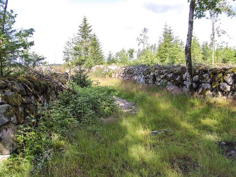 MÅLBILDER FÖR GOD MILJÖHÄNSYN kulturmiljöer foto: mattias persson foto: göran lundh Odlingsspår/röjningsrösen Människan har bedrivit jordbruk sedan flera tusen år.