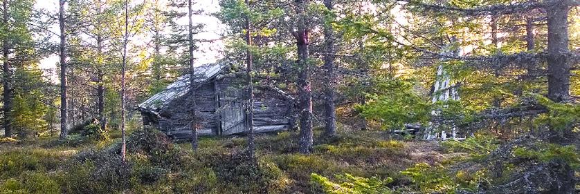 Målbild Träd med lämningar (t.ex. barktäkt, bläcka), Lavstubbar Renvall och Rengärde Härd/kåta Övriga lämningar Förröjning Lavstubbar sparas och märks upp.