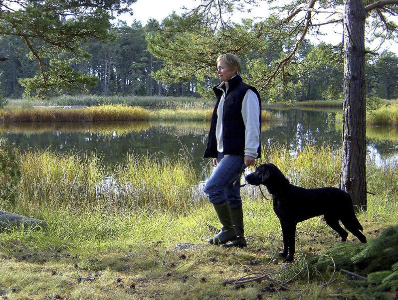 MÅLBILDER FÖR GOD MILJÖHÄNSYN friluftsliv och rekreation foto: henry stahre Genom en aktiv, ansvarstagande och kunskapsburen skogsskötsel med landskapsperspektiv går det i de flesta fall att