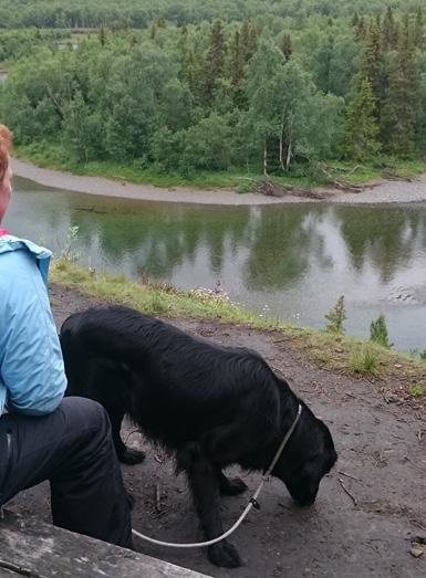 foto: lovisa bergström foto: sofia blomquist I friluftsskogen varieras hänsynen efter nyttjandet. Uppehållsplatser, stigar och leder är viktiga komponenter.