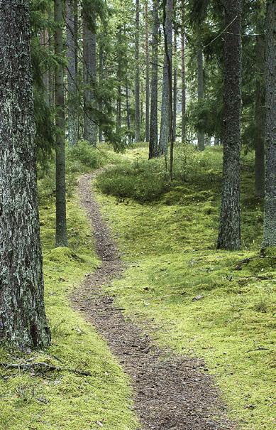 MÅLBILDER FÖR GOD MILJÖHÄNSYN friluftsliv och rekreation foto: michael ekstrand foto: kristian svedberg Genom en aktiv, ansvarstagande och kunskapsburen skogsskötsel med landskapsperspektiv går det i