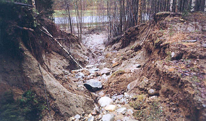 Foto: Åke Sjöström Fortsatt arbete och förslag på utvecklingsområden Körning i brant erosionskänslig terräng Underlag tas för närvarande fram för att förbättra kunskapen om körning i brant