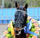 e Rer Bourbon - : -- : -- Tot: -- Titi Rzorfish e King of the Se Christinsen H B / -p / p, - - p Uppf: Holdhus Mri, Tornell J & Wilson C Uhrberg T / -k / k, g - - gdk Äg: Holdhus Mri & Wilson Cles