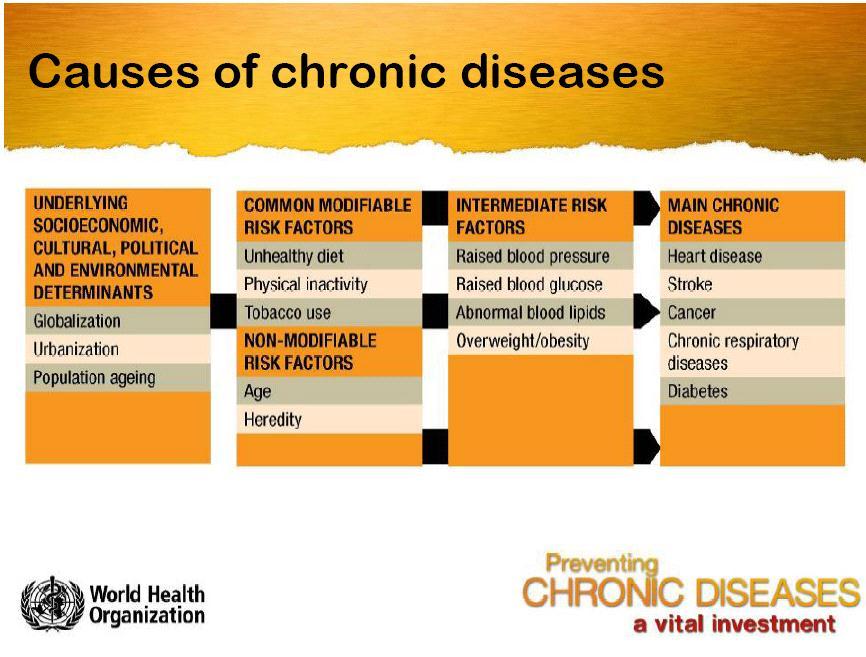 "80% of heart disease, stroke and type 2 diabetes and 40% of cancer could be avoided through healthy