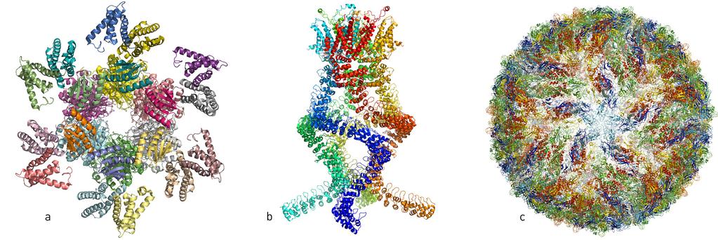 NOBELPRISET I KEMI 2017 POPULÄRVETENSKAPLIG INFORMATION De fångade livet i atomdetalj Jacques Dubochet, Joachim Frank och Richard Henderson belönas med Nobelpriset i kemi 2017 eftersom de har