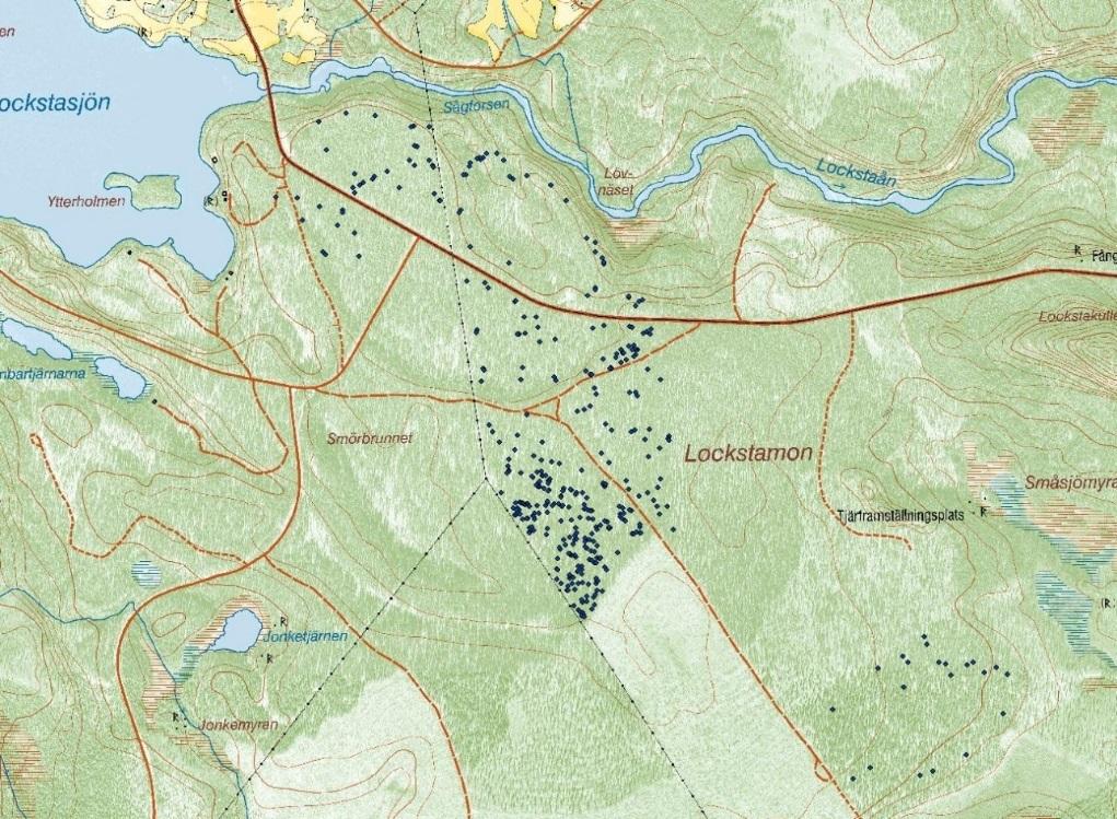 Sida 15 av 22 Om man tänker sig samma täthet av död ved över hela området skulle det innebära att det totalt över hela området finns cirka 200-250 kubikmeter död tallved.