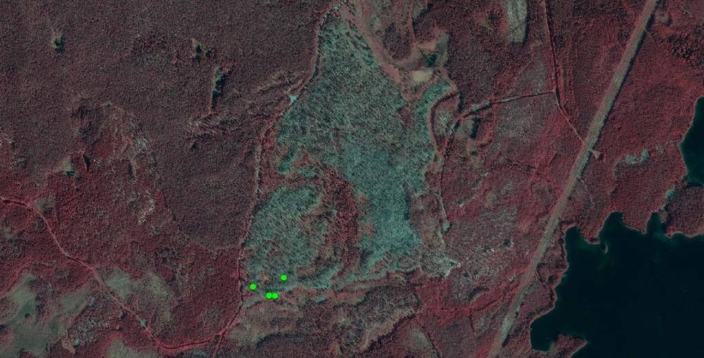 I anslutning till brandfältet, väster om vägen, ligger det nya naturreservatet Rörmyrberget i vilket naturvårdsbränningar är tänkta att genomföras i framtiden.