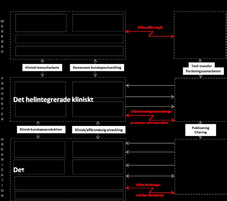 Figur 8 Relationer mellan den kliniska konsultverksamheten och den akademiska forskningen Vi ser i illustrationen ovan hur ett antal relationer pekar i ena eller andra riktningen och i ett enstaka