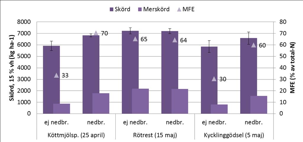 + 740 kg/ha för nedbrukad kycklinggödsel. Ej sign! LSD = 1053 kg/ha.