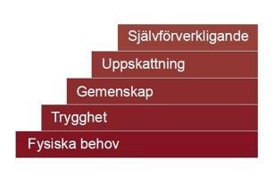 3.2 Människans behov 5 Individen samt samhället har behov av att nå olika mål som styr våra liv. För individen är målen förknippade med t.ex. säkerhet, levnadsstandard och livskvalitet.
