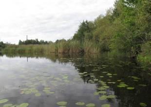 Torparviken, väster om järnvägen Startkoordinat X: 6551582 Y: 1558837 Slutkoordinat X: 6551679 Y: 1558909