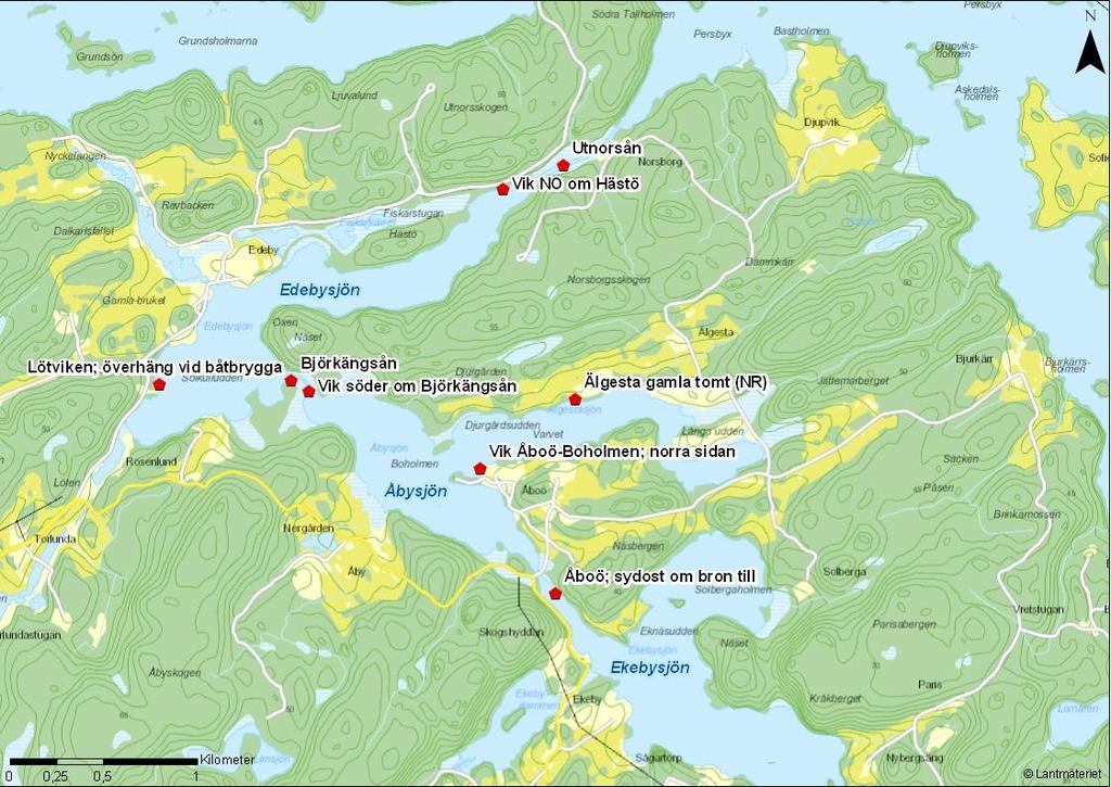 Edebysjön, Åbysjön och Ekebysjön Edebysjön (Figur 12, 13 & 14) ligger i de sydöstra delarna av Båven och utgör tillsammans med Åbysjön och Ekebysjön ett komplex av mindre sjöar och vikar som förbinds