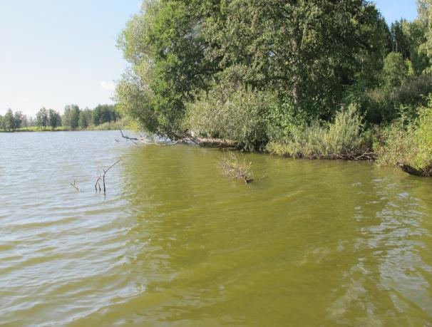 Edebysjön, Lötviken överhäng vid båtbrygga Startkoordinat