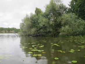 Åbysjön, vik Åboö- Boholmen, norra sidan Startkoordinat X: 6541594 Y: 1568479 Slutkoordinat X: 6541575 Y: 1568375 Startdatum