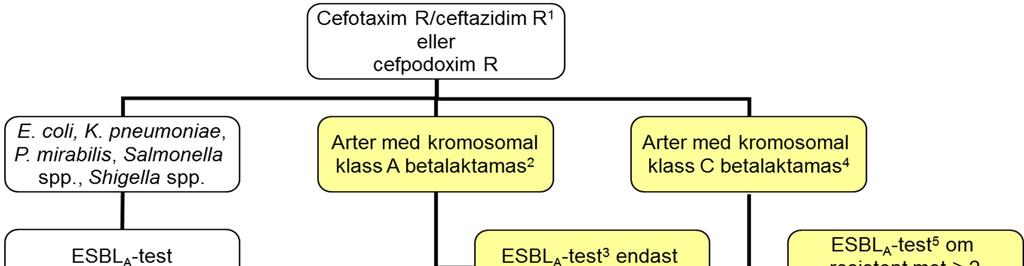 Enterobacteriaceae ALGORITM FÖR DETEKTION AV KLASSISKA ESBL (ESBL A ) NordicAST v. 6.0, 2016-01-01 1 Lappdiffusion: testa endast isolat som blir cefotaxim eller ceftazidim R.