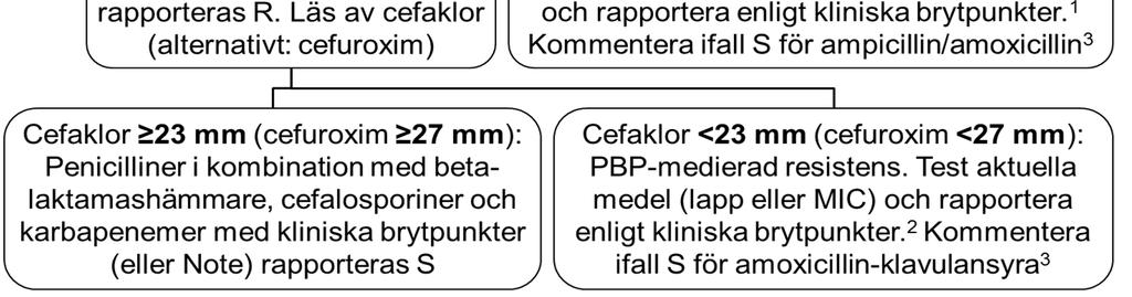 Haemophilus influenzae ALGORITM FÖR DETEKTION AV BETALAKTAMRESISTENS NordicAST v. 6.
