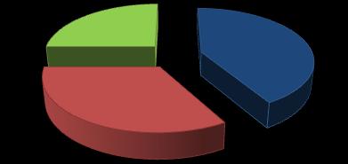 över 60 år, 41 % mellan 40-60 år och 17 % mellan 20-40 år (Figur 4.2).