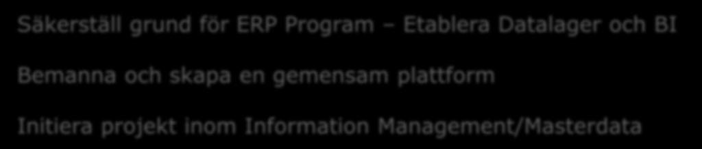 Datalager och BI Bemanna och skapa en gemensam