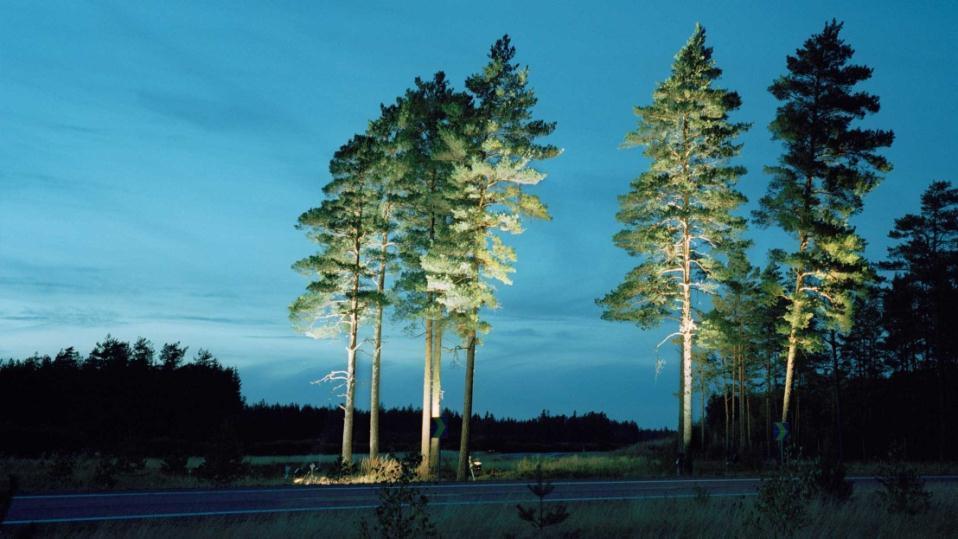 och vision Agera i utpekad
