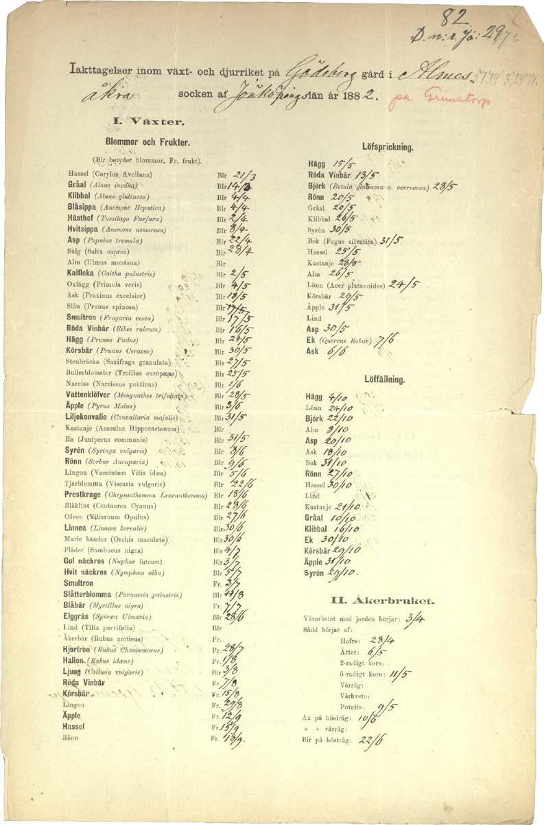 växtsäsongen i Europa därmed förlängts med ungefär 10,8 dagar sedan 1960-talet. Efterföljande studier har dock visat att olika trädslag påverkas olika och att det ser olika ut i olika regioner.