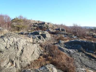 Detaljplan Öckerö centrum Berg- och radonundersökning 5 (9) I det större sammanhängande hällområdet söder om Norgårdsvägen ger de tre sprickgrupperna upphov till en