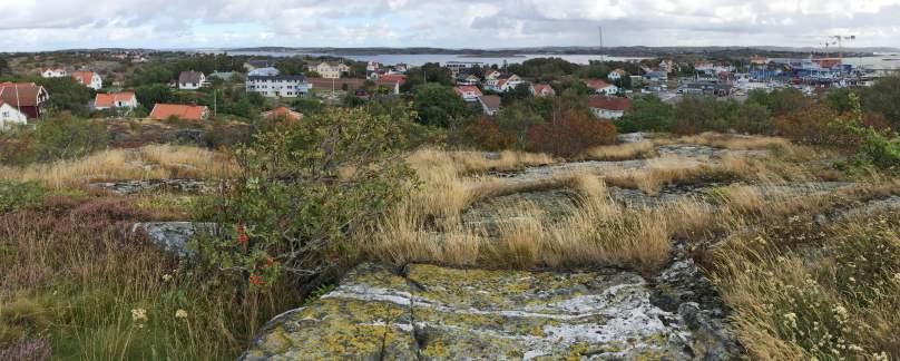 NVI centrala Öckerö, Öckerö kommun. Naturcentrum 2015 Delområde 3 Naturtyp: Hällmarker Skyddsvärda arter och strukturer: Ask (EN), skogsalm (CR), hällmarker, småvatten, stenfält, brynmiljöer.