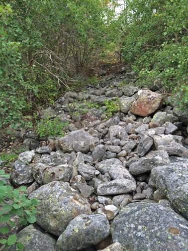 den sydvända branten. Fältet är omgärdat av en trädridå, till viss förekommer även träd i själva fältet.