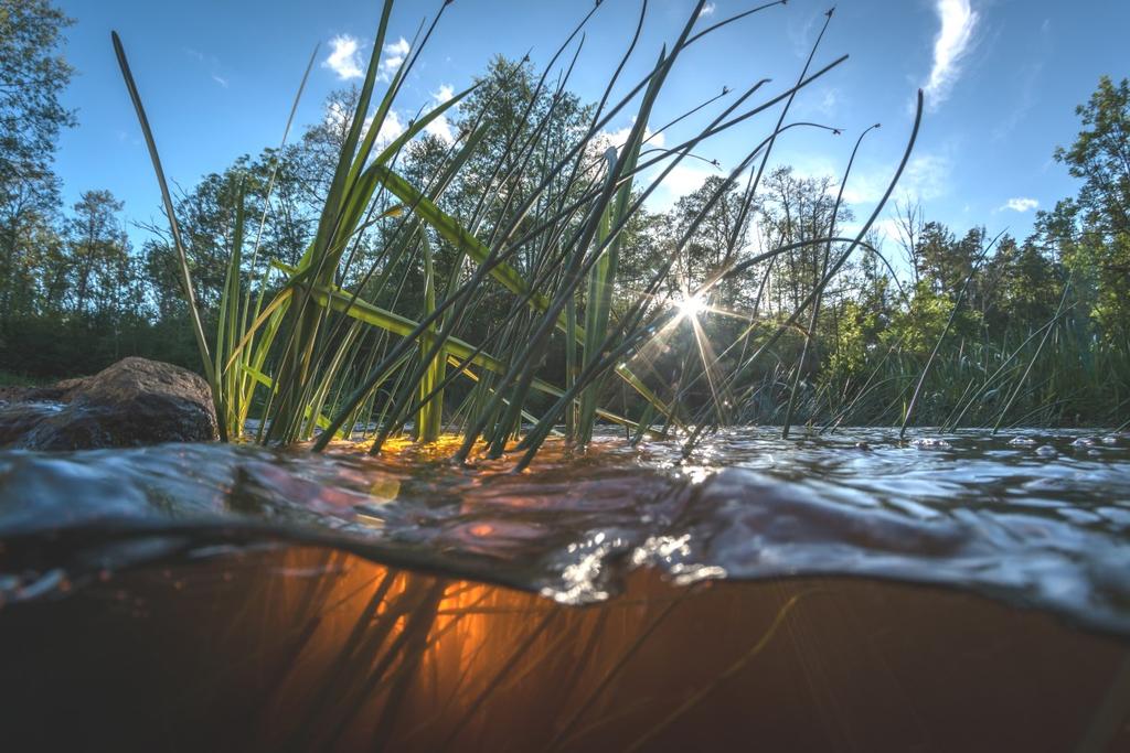 Fotograf: Fredrik Blomqvist Utställning: Vattendragen i Västra Götaland ur olika perspektiv - luft, land och vatten Samma miljö i naturen har dokumenterats ur tre olika vinklar.