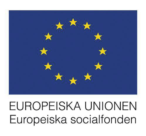 Hur hanterar man motståndet i jämställdhetsarbetet? *, -. Bland det viktigaste är att erkänna att det finns, och att också respektera det. Om man vill ha förändring måste man ha dialog.