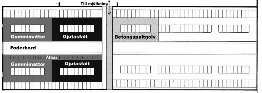 Figur 7-2 Skiss över stallet i sin helhet (överst) och över avdelningen försöket är gjort i (nederst).