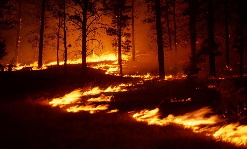 Skogsbränder Örebro Södermanland