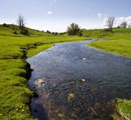 Waterbody Assessment Tools for Ecological