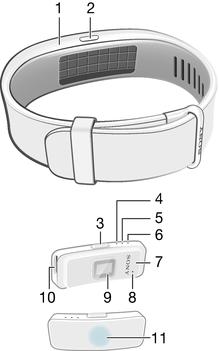 Basinformation Inledning SmartBand 2 är en tillbehörsprodukt som ansluter trådlöst via Bluetooth till Android enheter.