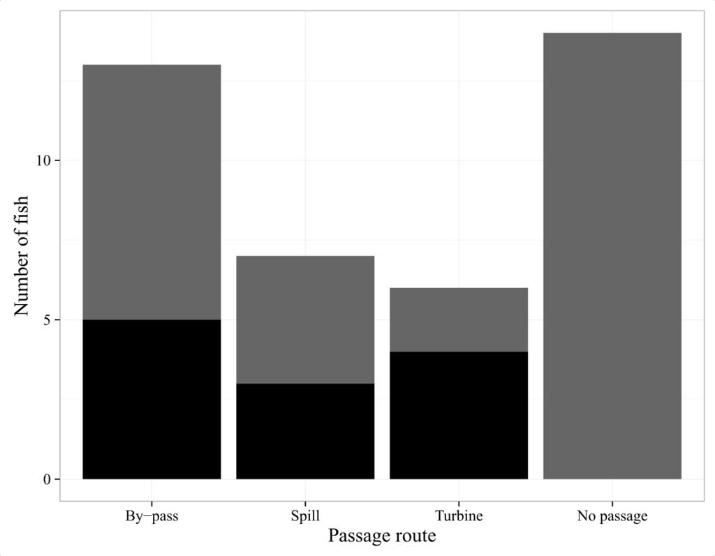 Figure 8. Antal fisk vid Essex fördelade på passageväg (by-pass, spill och turbin) och icke-passage. Även överlevnad och fortsatt nedströmsvandring (svart) och förlust/mortalitet (grått) är markerat.