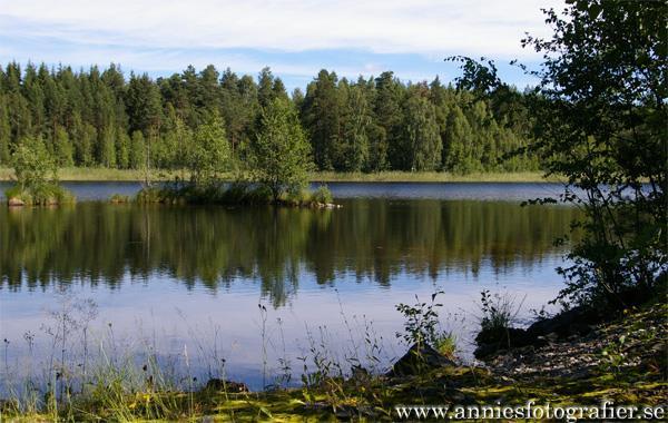 MELLAN 2000 2014 FÖRDUBBLADES FÖRSÄLJNINGSYTAN I SVENSKA KÖPCENTRAUM 49 50 VI MÅSTE LÖSA MÅLKONFLIKTERNA MELLAN OLIKA