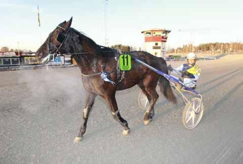 nyhetsbörsen januari2017 170127 Slotts Lynet överlägsen vid första segern Det blev tredje gången gillt för Kajsa Frick och Slotts Lynet.