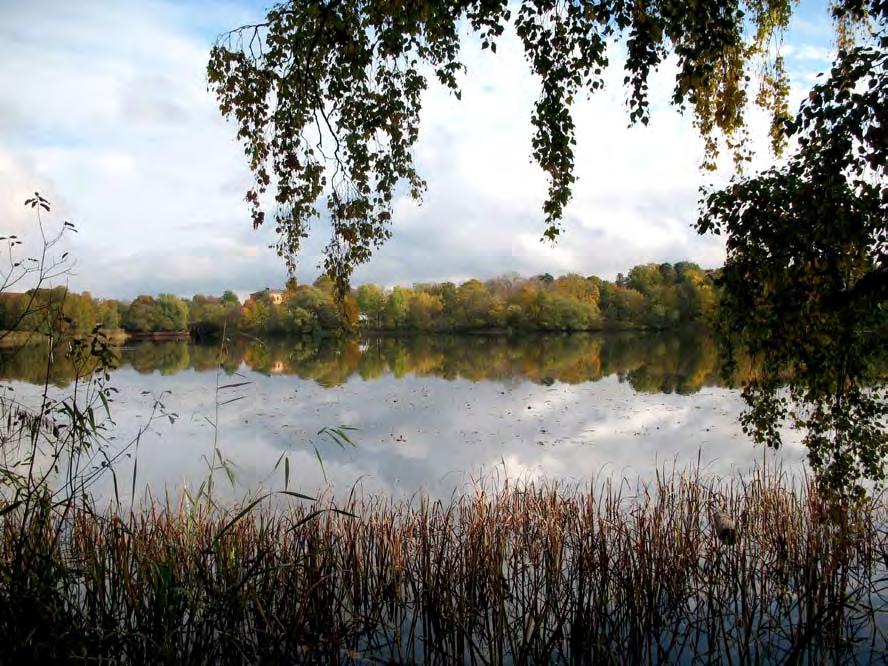 96 Parkplan för 1. Blackeberg - 2. Södra Ängby - 3. Norra Ängby - 4.