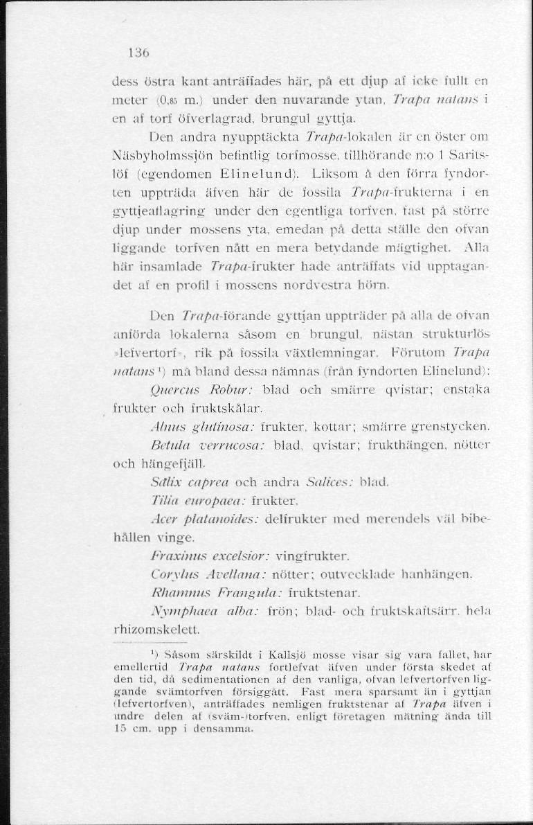 L36 dess östra kant anträffades här, på eti djup af icke fullt en meter [0,ss m.) under den nuvarande ytan, Trapa naicms i en af torf öfverlagrad, brungul gyttja.