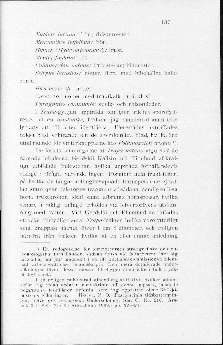 137 Nuphar luteum: frön; rhizomrester. Menyatithes trifoliala: frön. Rumex (Hydrolapathum?): frukt. Moiitin fontana: frö. Potamogeton notans: fruktstenar; bladrester.