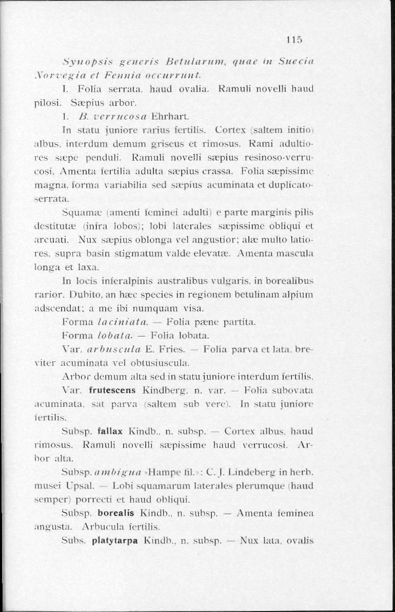 115 Synopsis generis Betularum, quae m Suecia Xorvegia et Fennia occurrunt. I. Folia serrata, haud ovalia. Ramuli novelli baud pilosi. Ssepius arbor. 1. Ii.